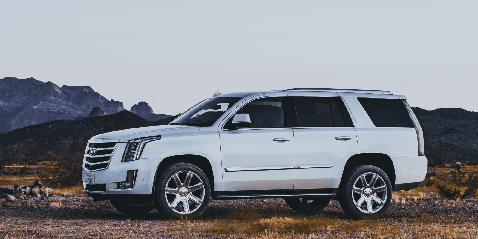 Beskrivelse av kategorien